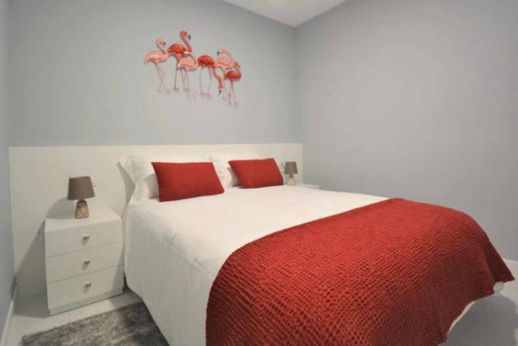 Descubre El Salnes En